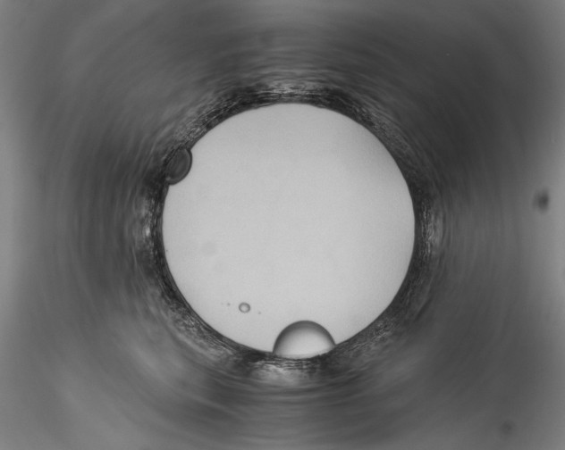 X0000115310567200911301538