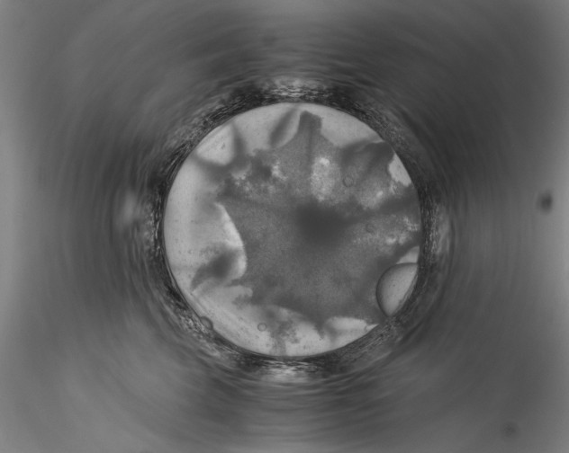 X0000115310569200911301538