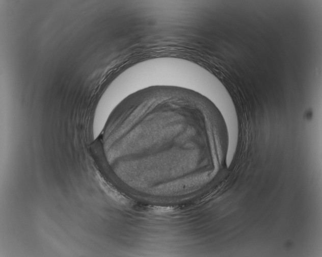 X0000115310570200911301538