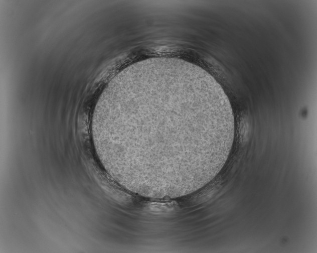 X0000115310571200911301538