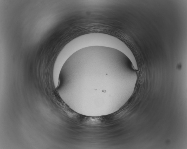 X0000115310573200911301538