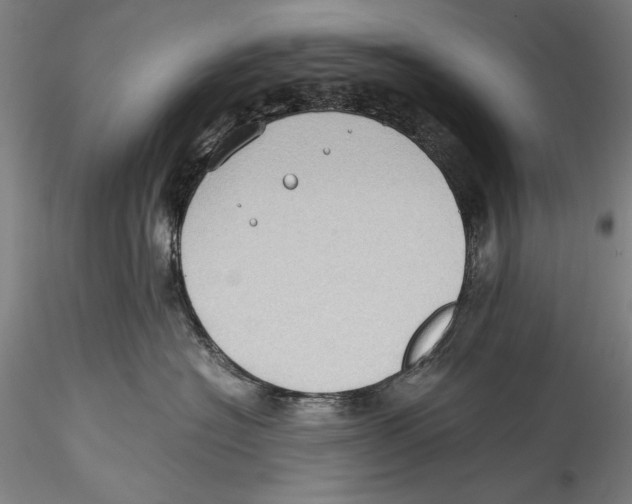 X0000115310574200911301538