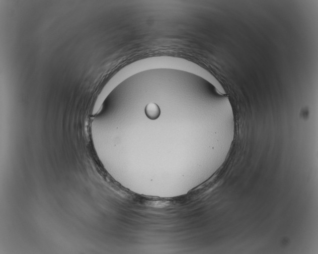 X0000115310575200911301538