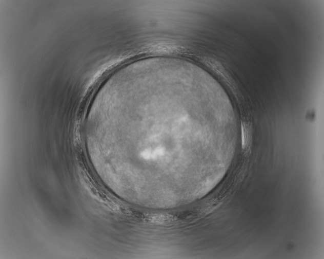 X0000115310579200911301537