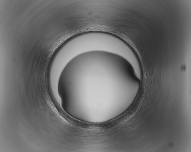 X0000115310581200911301537