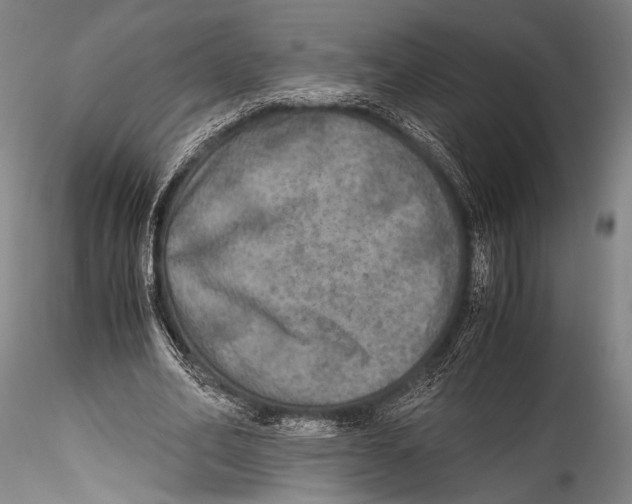 X0000115310582200911301537