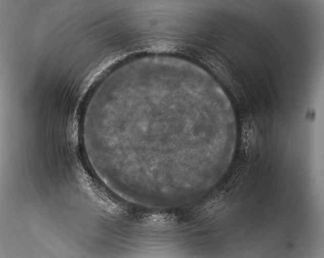 X0000115310584200911301537