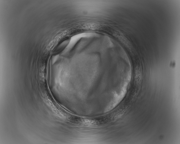 X0000115310585200911301537