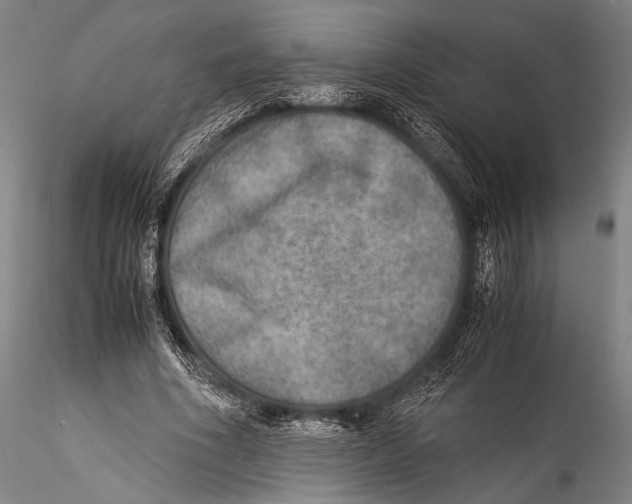 X0000115310586200911301537