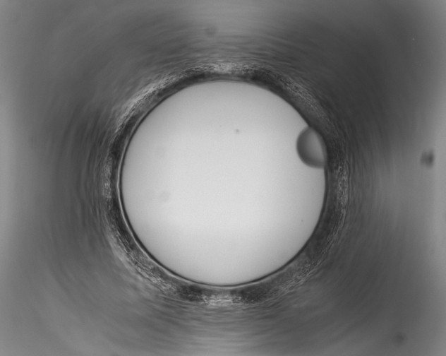 X0000115310587200911301537