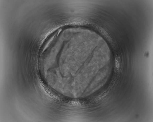 X0000115310588200911301537