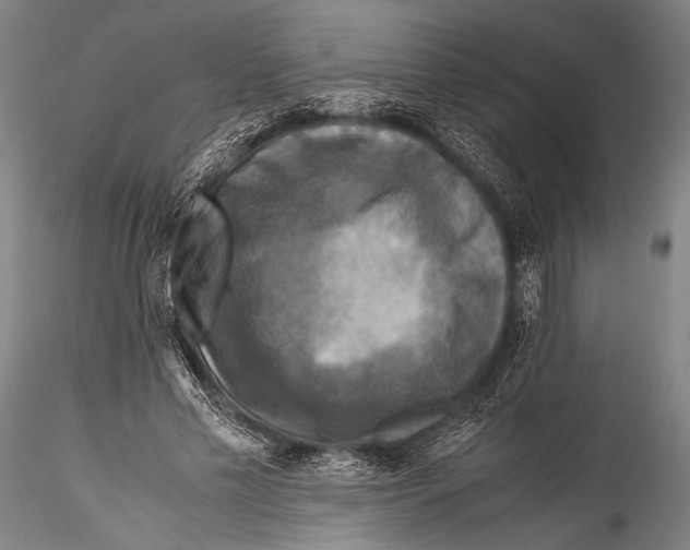 X0000115310589200911301537