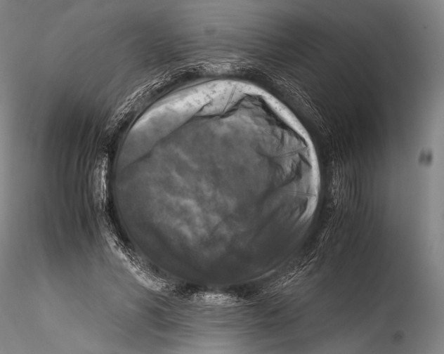 X0000115310590200911301537