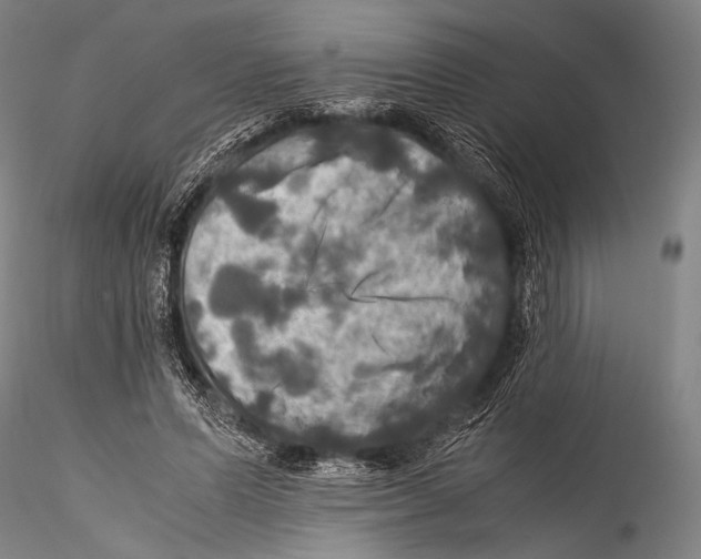 X0000115310591200911301537