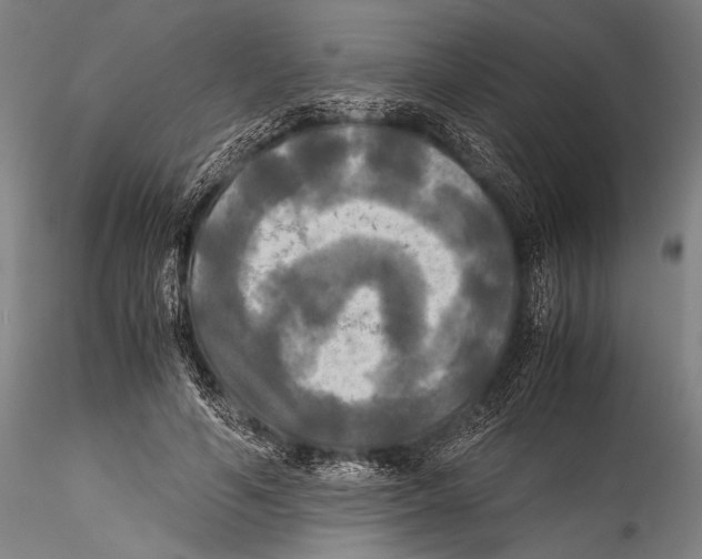 X0000115310594200911301537