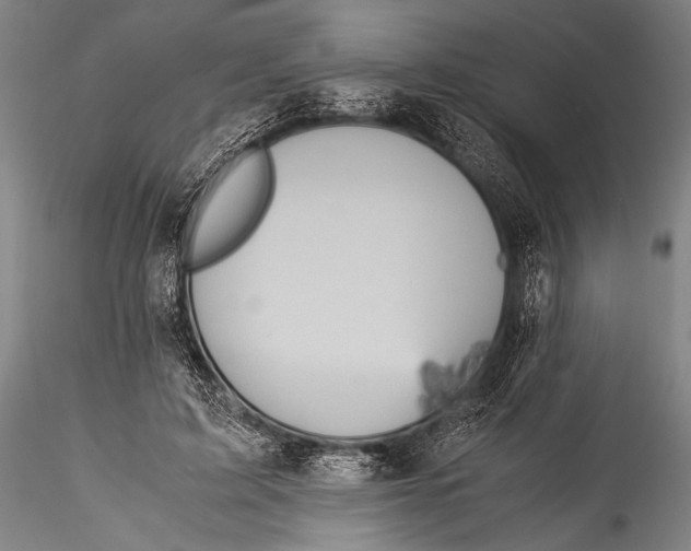 X0000115310595200911301537