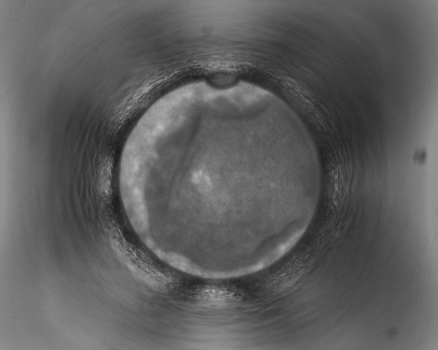 X0000115310596200911301537