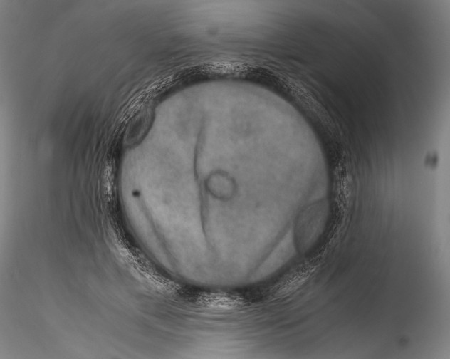 X0000115310597200911301537