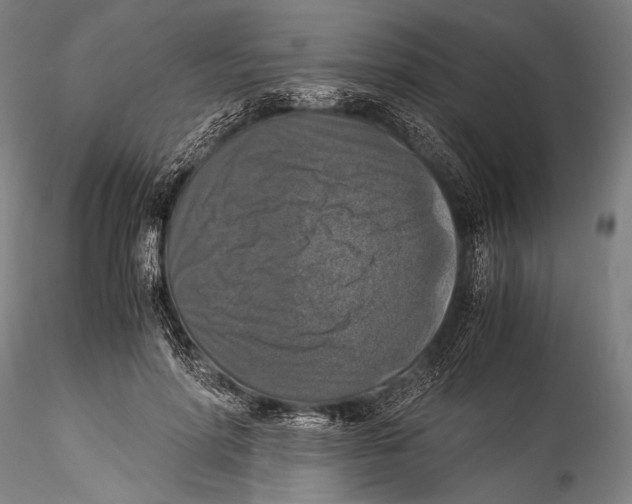 X0000115310598200911301537