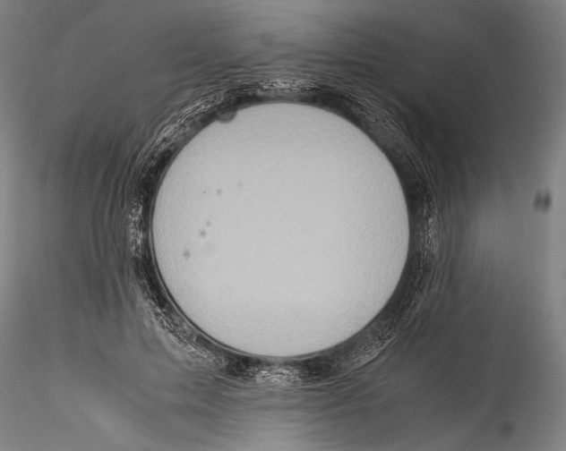 X0000115310599200911301537