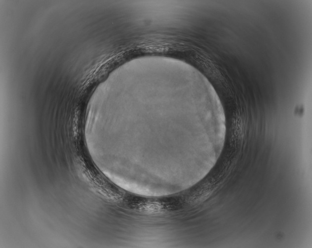 X0000115310600200911301537