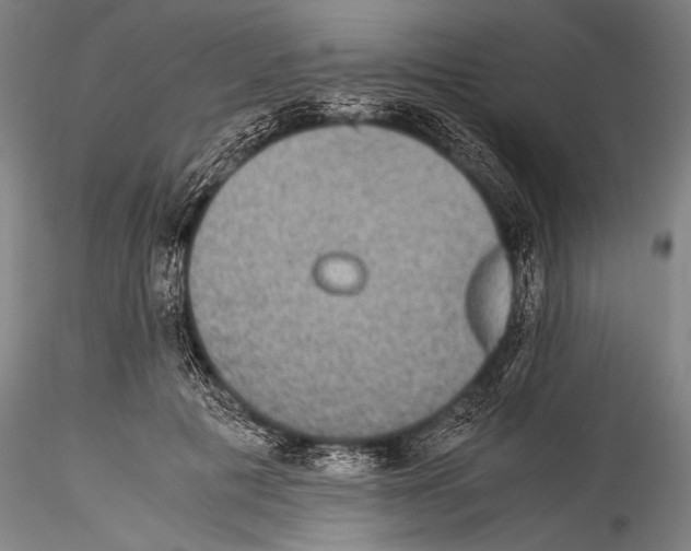 X0000115310601200911301537