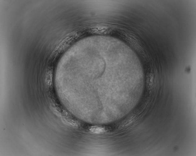 X0000115310602200911301537