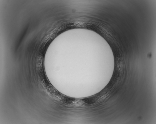 X0000115310603200911301537