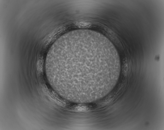 X0000115310604200911301537