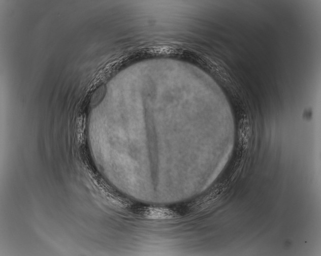 X0000115310605200911301537