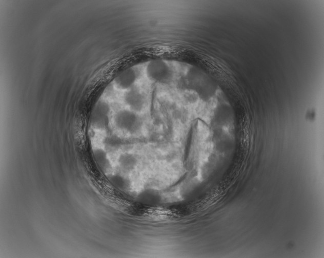 X0000115310607200911301537