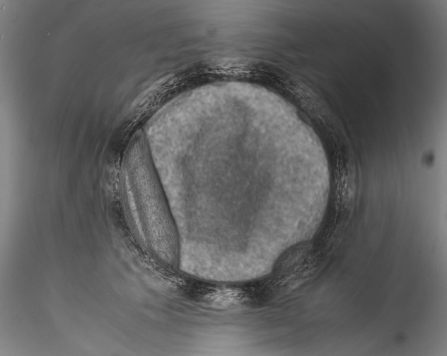 X0000115310609200911301537