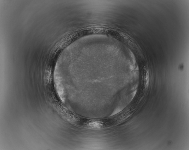 X0000115310610200911301537