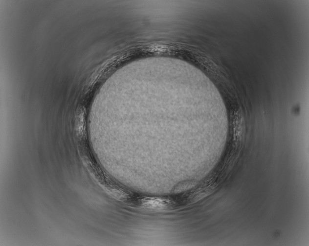 X0000115310611200911301537