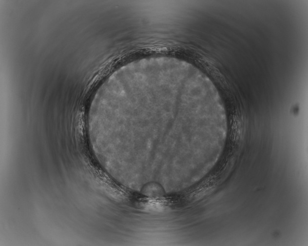 X0000115310612200911301537