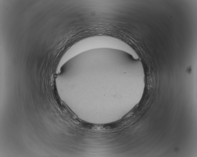 X0000115310613200911301537