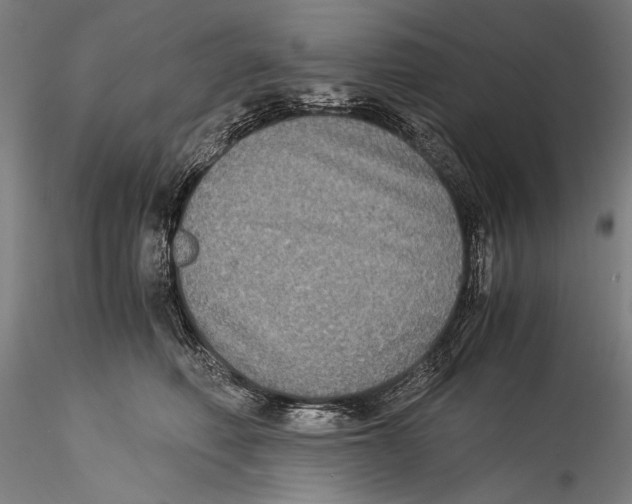 X0000115310614200911301537