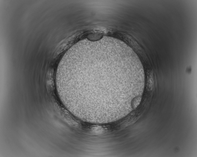 X0000115310616200911301537