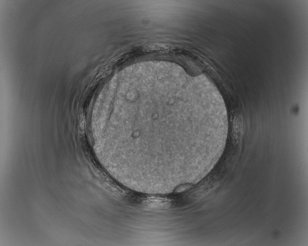 X0000115310617200911301537