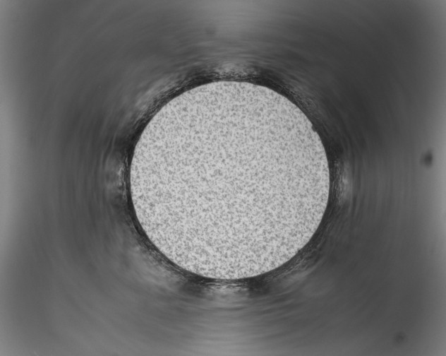 X0000115310619200911301537