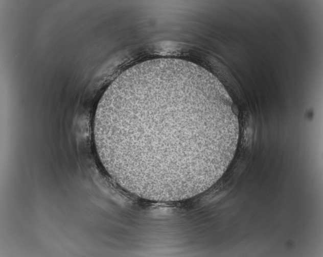 X0000115310620200911301537