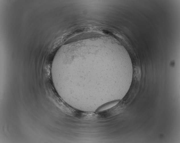 X0000115310621200911301537