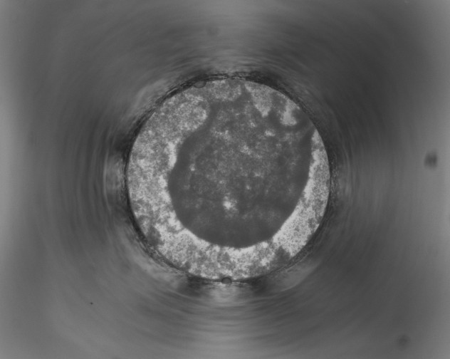 X0000115310623200911301537