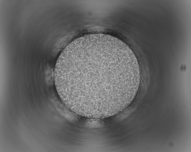 X0000115310624200911301537