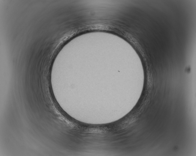 X0000115310625200911301536