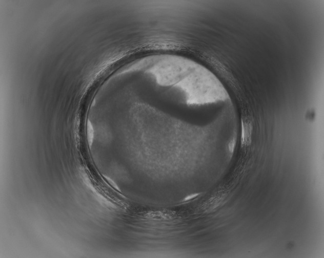 X0000115310627200911301536