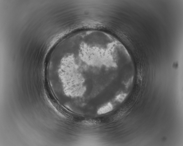 X0000115310630200911301536