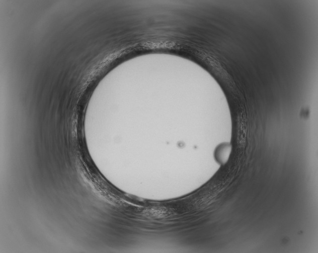 X0000115310631200911301536