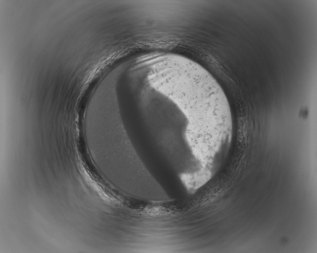 X0000115310634200911301536