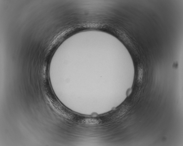 X0000115310636200911301536